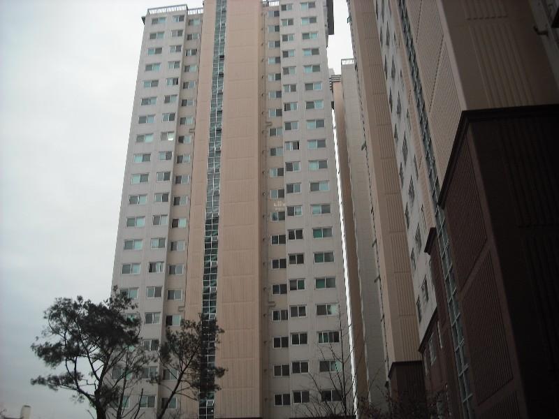 DSCF1401