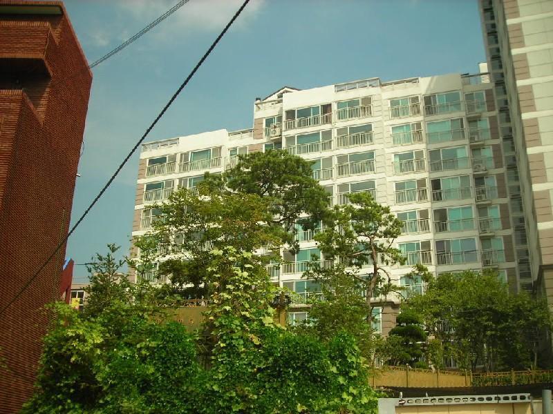 DSCN3953