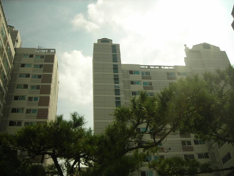 DSCN3973