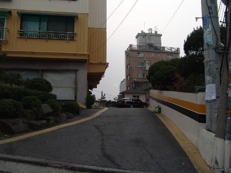 DSC09066