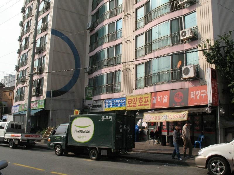 사진 311