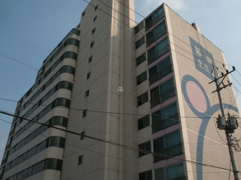 사진 317