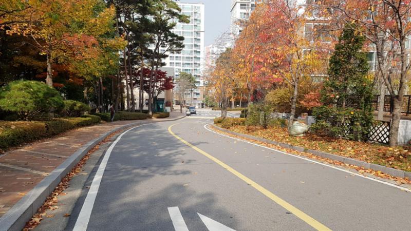 차로와 보행로가 나누어져 있어 차량이 다니지 않는 안전한 보행로에요