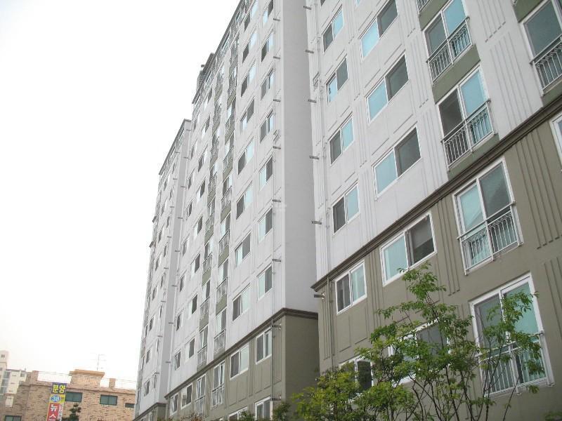 사진 1010