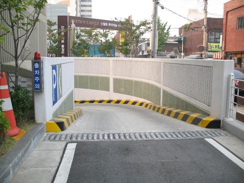 사진 1009