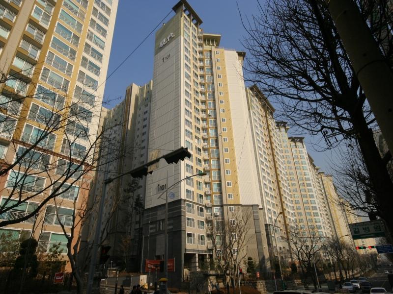 1101동