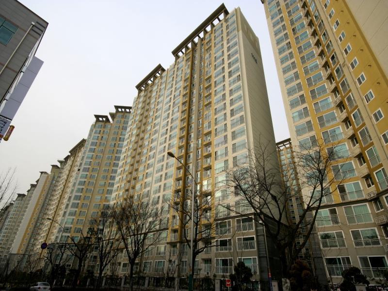1113동