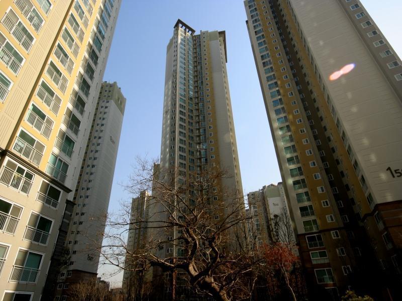 1506동