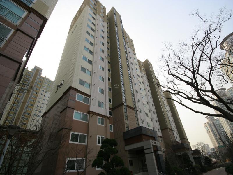 3105동
