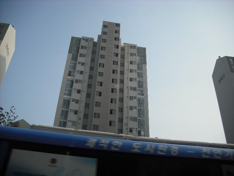 DSCF0965