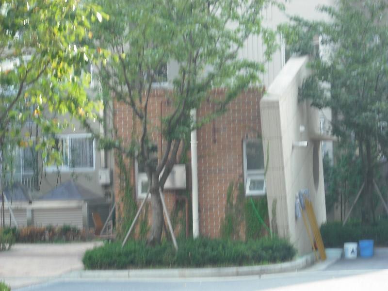 DSCF0957