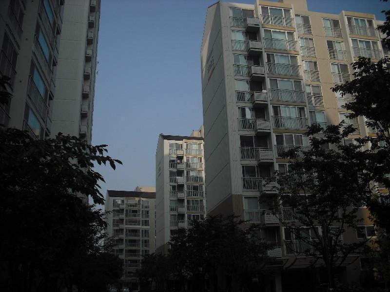 DSCF0955