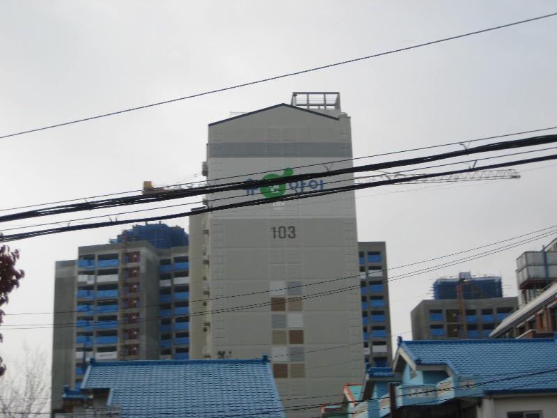 사진 274