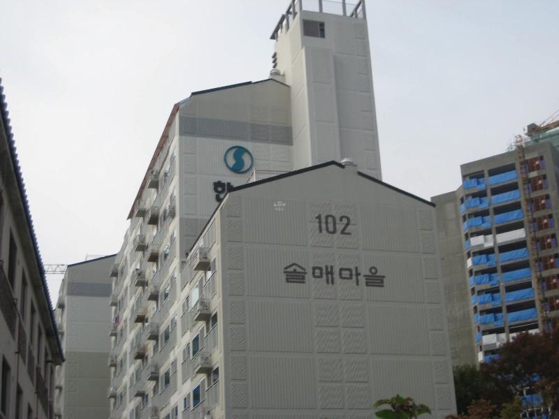 사진 275