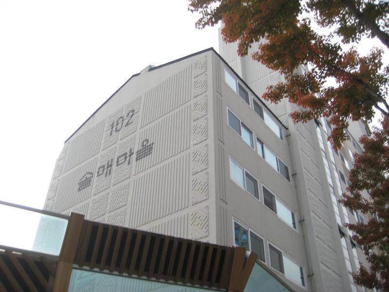 사진 276