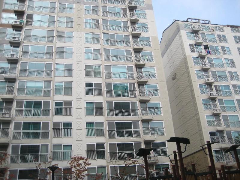 사진 282