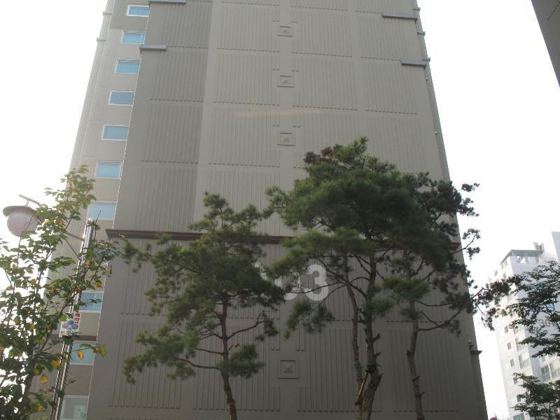 사진 053