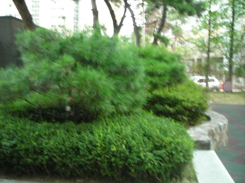 DSCN4824