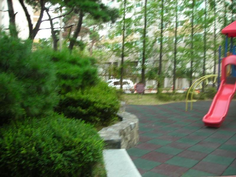 DSCN4825