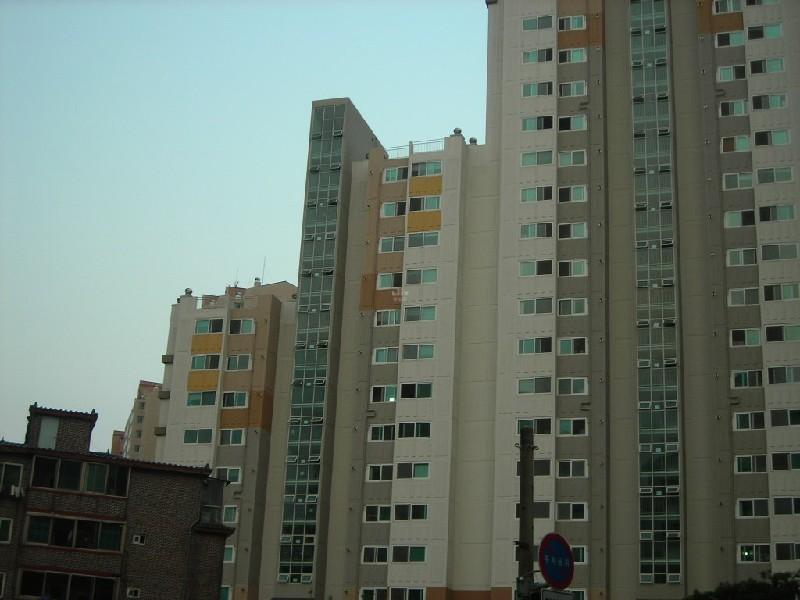 DSCN4810