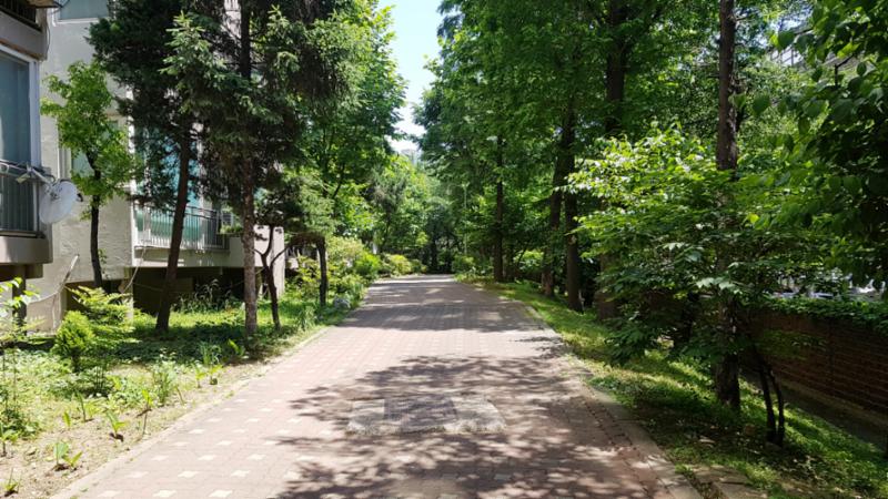 벽돌 타일로 지어진 보행로에요
