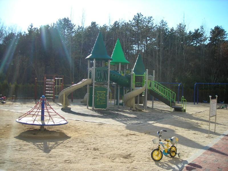 DSCN6602