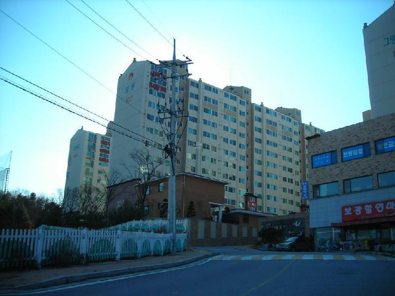 DSCN6590