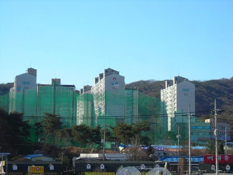 DSCN6585