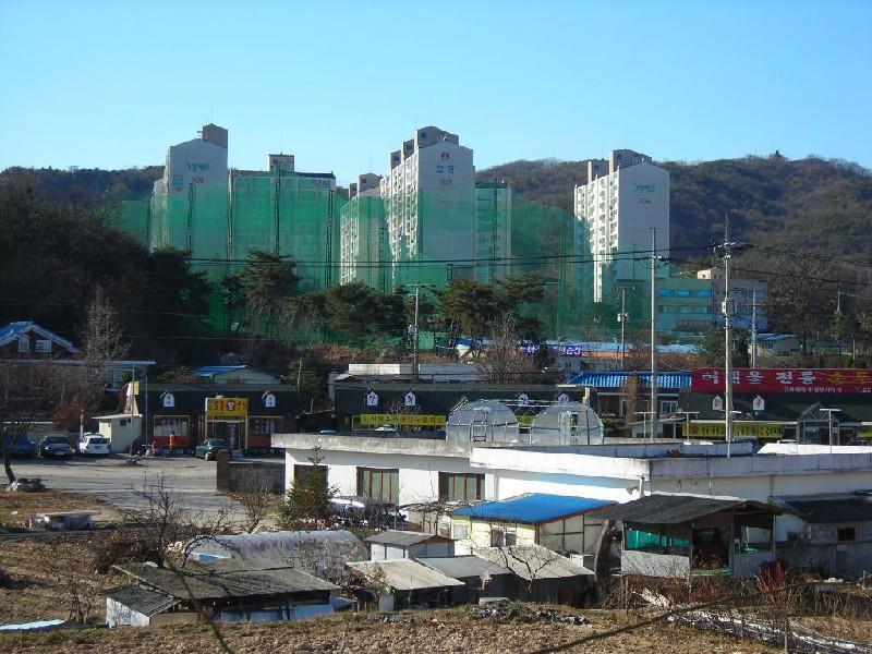 DSCN6586
