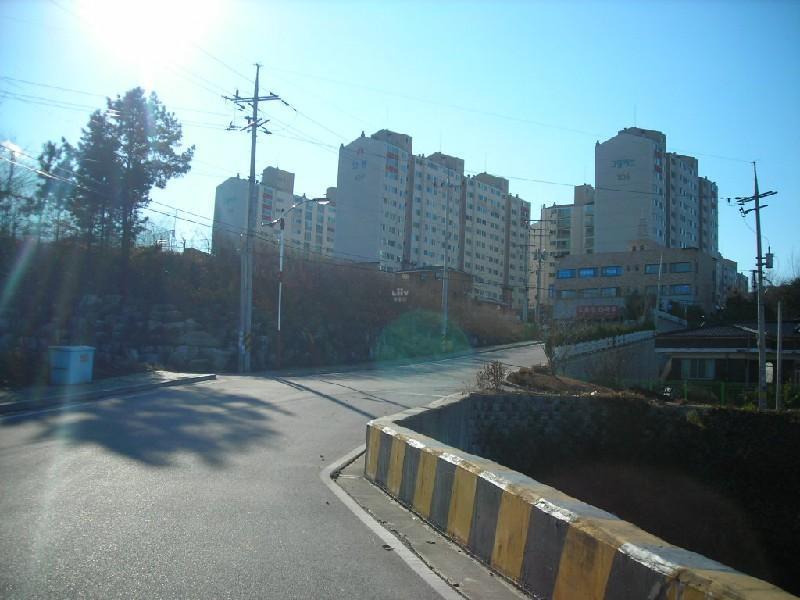 DSCN6587