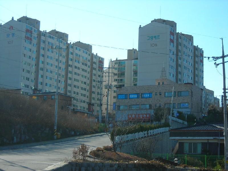 DSCN6588