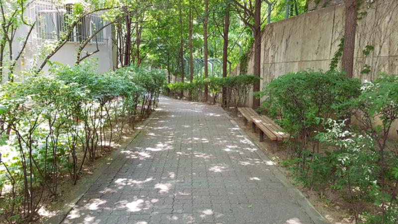 벽돌 타일로 지어진 보행로에요