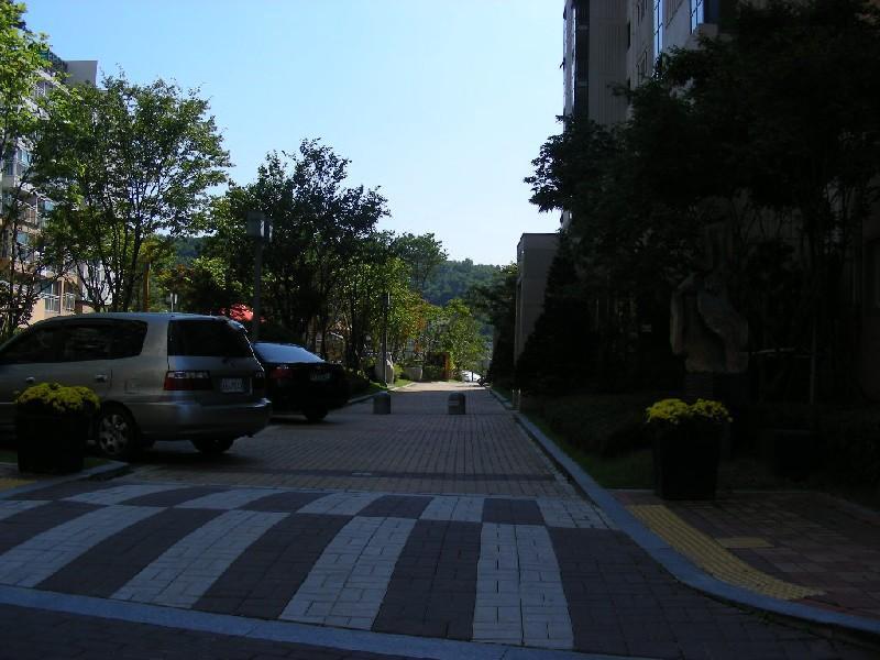DSCN4948