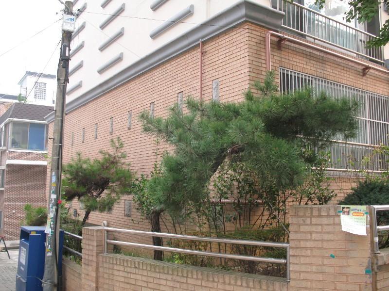 사진 658