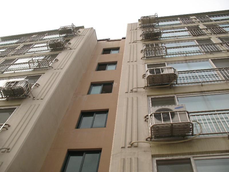 사진 453