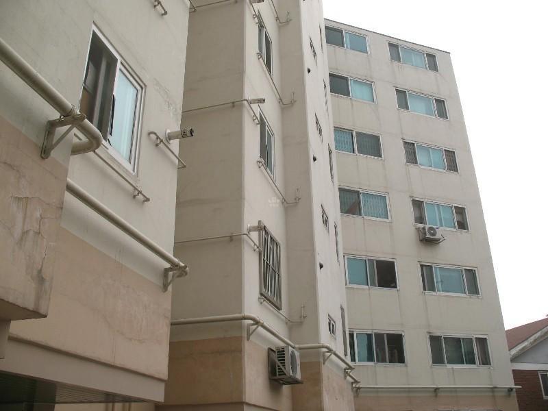 사진 455