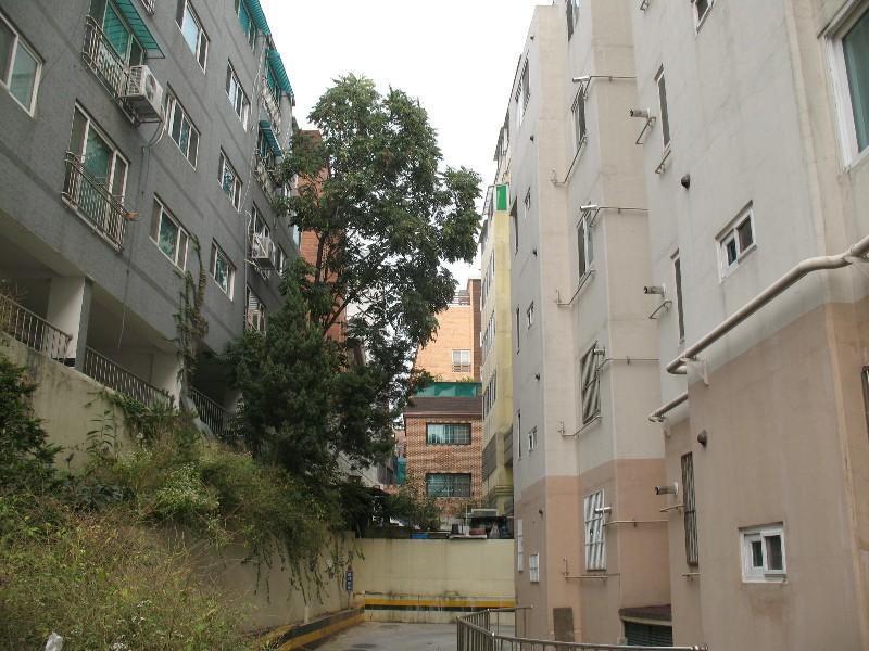 사진 456