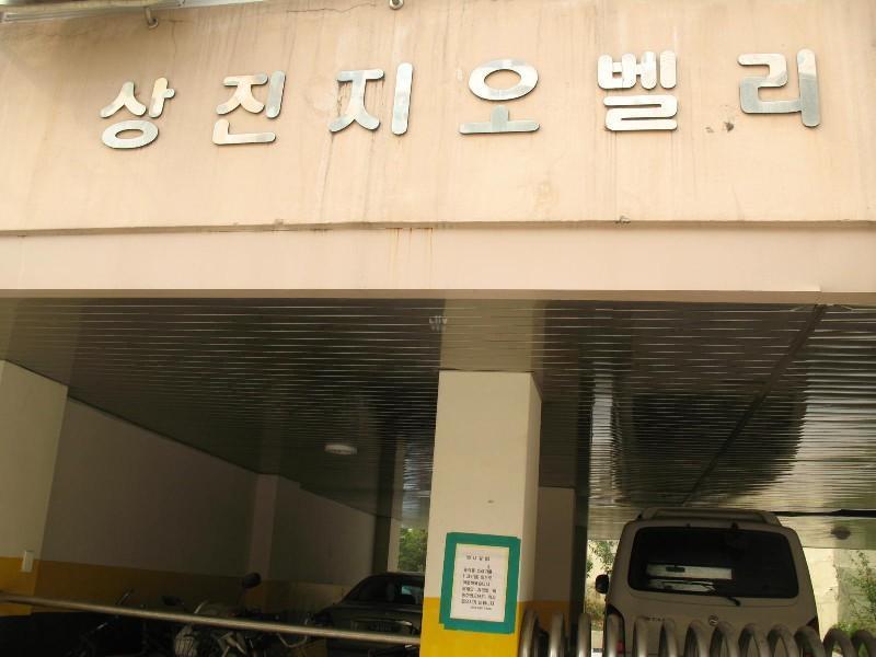 사진 447