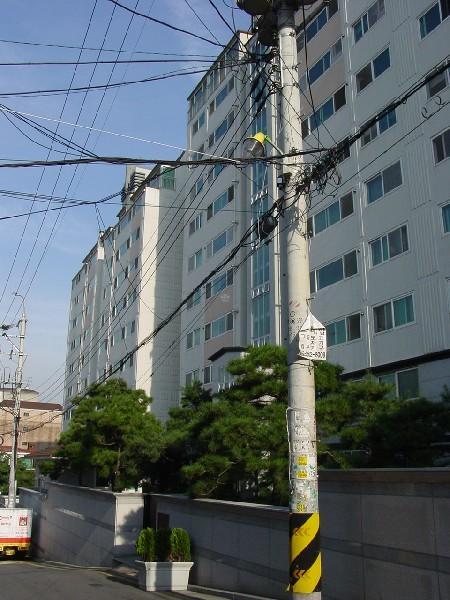 DSC04392