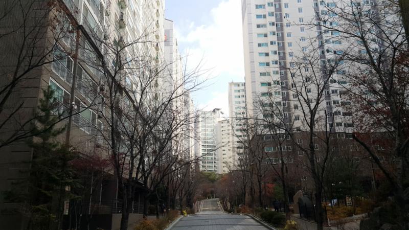 우장산아이파크e편한세상의 내부를 이어주는 도로에요