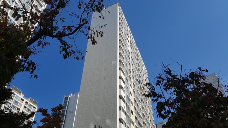단지전경 모습이에요