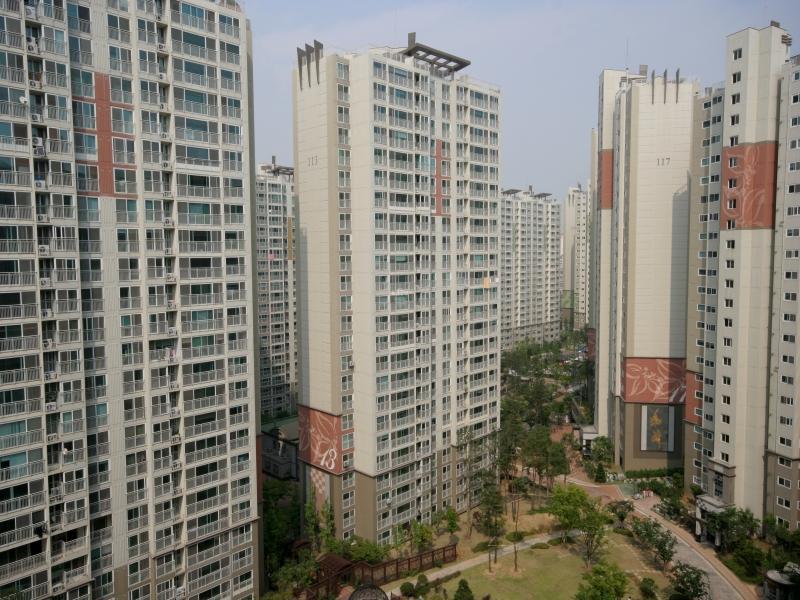 113동1
