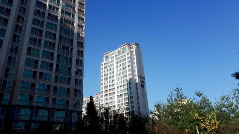 총 562세대, 8개 동으로 그성된 동탄숲속마을풍성신미주 단지는 초, 중, 고 학군이 인접해 있어 도보로 통학이 가능한 단지에요
