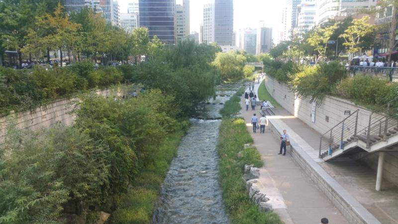 단지 인근에 위치한 청계천입니다