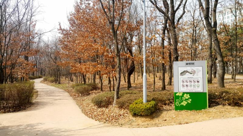 사계절의 풍부한 자연을 느낄 수 있는 솔내공원입니다