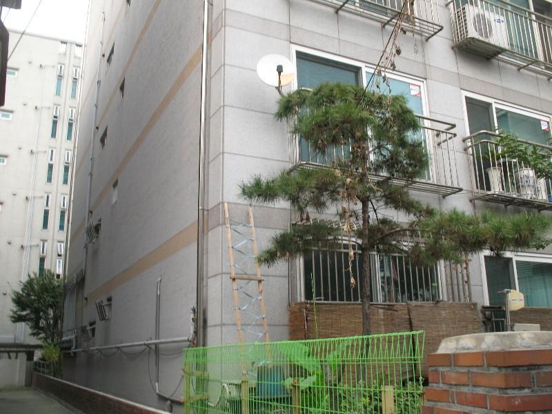 사진 743