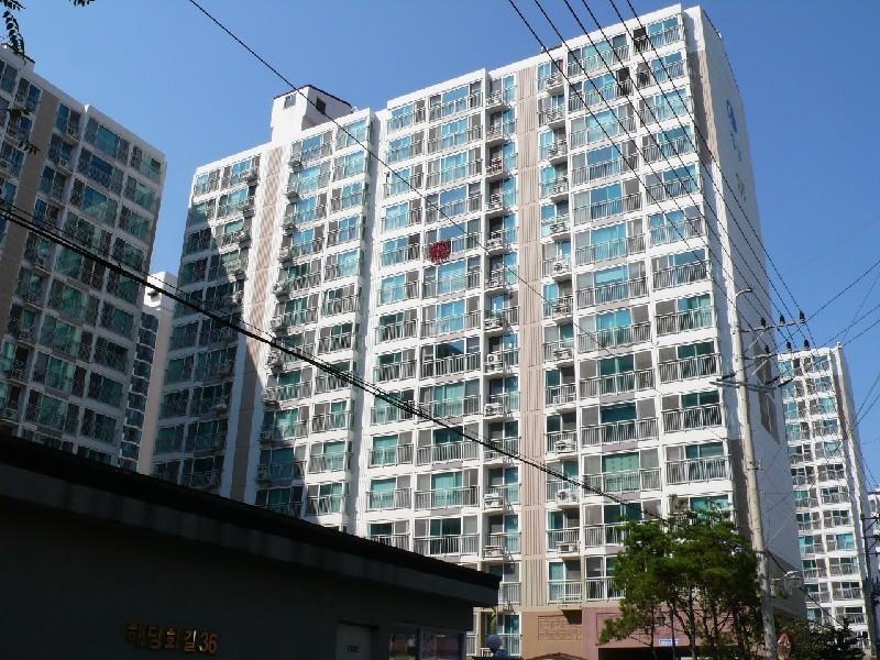 P1000433