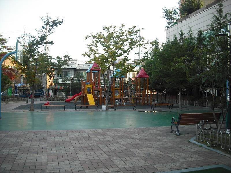 DSCF0529