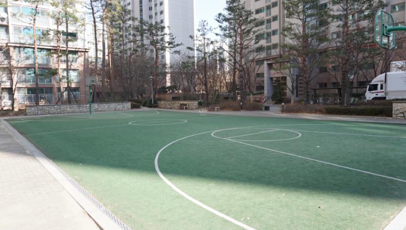 라인이 그려진 체육시설 입니다