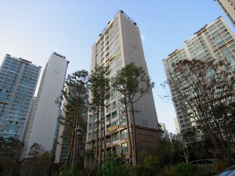 117동